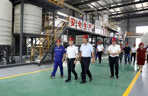 湖南永澤冶金與永晟福科技新廠竣工投產(chǎn)，并深化教育咨詢服務(wù)，開(kāi)啟產(chǎn)業(yè)與人才協(xié)同發(fā)展新篇章